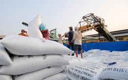 Là 'cường quốc' xuất khẩu gạo, vì sao Việt Nam phải nhập gần 1 triệu tấn gạo?