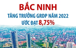 Tăng trưởng GRDP năm 2022 của tỉnh Bắc Ninh ước đạt 8,75%