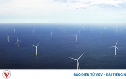 Giá điện gió thấp kỉ lục - Anh muốn chia sẻ kinh nghiệm với Việt Nam