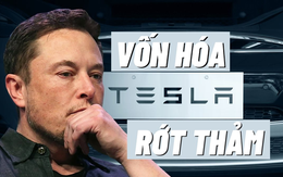 Elon Musk mải mê với Twitter, vốn hóa Tesla giảm thê thảm gần 700 tỷ USD, tương đương 6 lần giá trị Starbucks,12 lần giá trị Ford