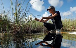 Công việc ít căng thẳng nhưng được trả lương hậu hĩnh, tới hơn 2 tỷ/năm: Đây là cách đạt được nó!