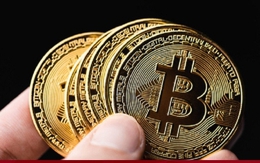 Giá Bitcoin hôm nay 25/11: Tiếp tục khởi sắc
