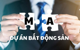 Giá trị M&A bất động sản Việt cao nhất trong vòng 5 năm: Loạt doanh nghiệp lớn Masterise Homes, Keppel Land, CapitaLand Development, Gamuda.…M&A những dự án nào?