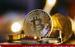 Giá Bitcoin hôm nay 27/11: Bitcoin đảo chiều tăng nhẹ
