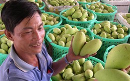Nông sản Campuchia ‘đổ bộ’ vào Việt Nam