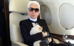 Choáng ngợp cuộc sống mèo tỷ phú của ông hoàng thời trang Karl Lagerfeld