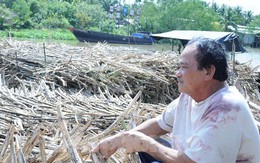 Chủ ghe mía như ‘ngồi trên đống lửa’ chờ nhà máy đường nhập hàng