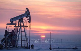 EU không đạt đồng thuận về áp trần giá dầu của Nga