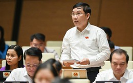Đại biểu Quốc hội chất vấn việc chậm xử lý vụ bà Nguyễn Phương Hằng livestream