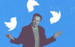 Năn nỉ nhân viên trở lại sau cú "búng tay" của Elon Musk, màn sa thải ở Twitter hỗn loạn đến mức nào?