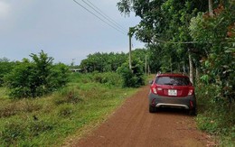 Lỡ lướt sóng thành “ôm bom”, nhà đầu tư non vốn nên cắt lỗ hay cố giữ tài sản chờ thị trường?