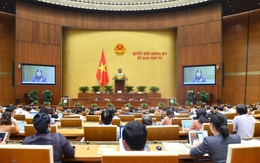 Việt Á, Tân Hoàng Minh và nhiều vụ án tham nhũng bị Ủy ban Tư pháp "điểm tên"