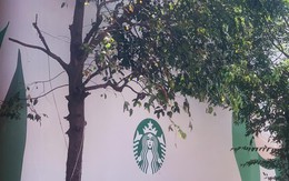 Ví Hội An là điểm đến mơ ước, Starbucks cuối cùng cũng đáp được sau nhiều năm theo đuổi
