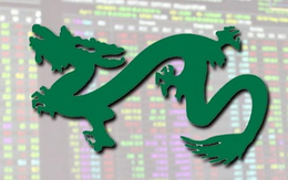 Dragon Capital mua ròng 2 cổ phiếu bất động sản khi thị giá hồi phục 60-70% từ đáy