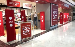 Loạt cổ phiếu nóng “sale off” kịch sàn trong ngày 12/12