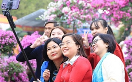 Gần 100.000 lượt người dự lễ hội hoa Mê Linh 2022