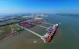 Cảng VIMC Đình Vũ được thí điểm khai thác tàu container trong 6 tháng