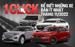 Loạt xe bán ít nhất tháng 11 tại Việt Nam: Land Cruiser khan hàng, Civic cũng góp mặt