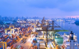 Doanh nghiệp tận dụng CPTPP như “trạm kết nối toàn cầu” cho thương mại hàng hóa và dịch vụ