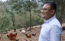 Giám đốc từ chức về quê nuôi giống gà không ai mua nhưng lại kiếm hàng trăm tỷ đồng mỗi năm theo cách không tưởng