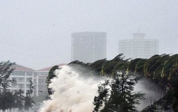 Khả năng xuất hiện áp thấp nhiệt đới, bão trên Biển Đông trong tháng 12