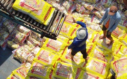 Nhiều cơ hội cho xuất khẩu gạo Việt Nam