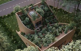 Vườn thảo mộc độc đáo trên mái nhà của đôi vợ chồng cao niên