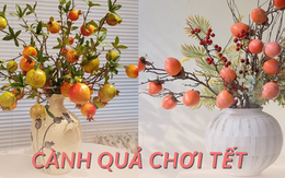 5 loại cành quả chơi Tết giúp gia chủ nghênh đón tài lộc đầu xuân