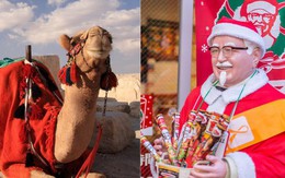Văn hóa Giáng sinh độc lạ khắp châu Á: Người Nhật nhất định phải ăn một món của Mỹ, những chú lạc đà đóng vai trò quan trọng