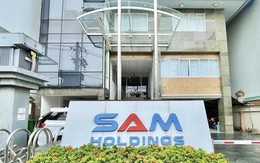 Thị giá tăng 50% sau 3 năm, SAM Holdings (SAM) muốn thoái toàn bộ 3,7 triệu cổ phiếu DNP Holding (DNP)