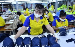 Chỉ 11,67% lao động Việt Nam có trình độ chuyên môn cao