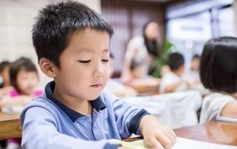 Trẻ có cần học trước khi vào lớp 1 không? – Câu trả lời của giáo viên lâu năm khiến nhiều phụ huynh tỉnh ngộ