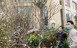 Nhà đầu tư bất động sản “né” Tết