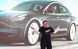 Tai ương dồn dập đổ lên Elon Musk: Tesla dừng sản xuất tại nhà máy ở Thượng Hải