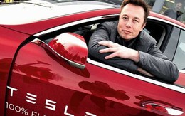 Tesla thấm đòn khi nhu cầu xe điện Mỹ suy giảm, bị thổi phồng nhờ những lời hứa của Elon Musk