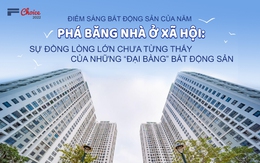 “Phá băng” nhà ở xã hội: Sự đồng lòng lớn chưa từng thấy của những “đại bàng” bất động sản