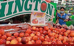 Việt Nam chi gần 2 tỷ USD nhập khẩu rau quả