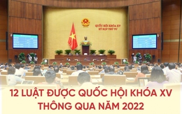 12 luật được Quốc hội khóa XV thông qua năm 2022