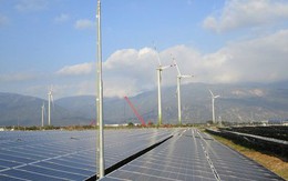 Xây dựng Ninh Thuận thành trung tâm năng lượng tái tạo