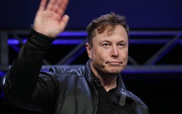 Elon Musk lần đầu nhận sai kể từ khi nắm quyền Twitter: "Tôi cũng chỉ là nhân viên mới"