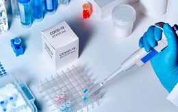 Công bố kết luận thanh tra việc mua sắm trang thiết bị, kít xét nghiệm, vaccine, thuốc phòng chống COVID-19 tại Bộ Y tế