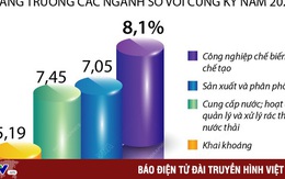 [INFOGRAPHIC] Năm 2022, giá trị tăng thêm ngành công nghiệp tăng 7,69%