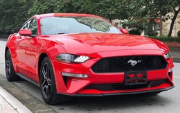 Ford Mustang và Chevrolet Camaro đang dần hết đất sống, đối mặt nguy cơ 'tuyệt chủng'