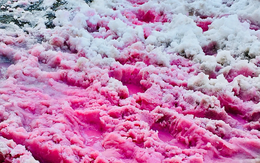 Hiện tượng tuyết hồng kỳ lạ trên các dãy núi: Đẹp mê man nhưng đồng thời là cảnh báo đỏ cho hành tinh chúng ta?