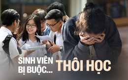 Tình trạng hàng ngàn sinh viên bị đuổi học vì... điểm kém: Quên ngay khái niệm "lên đại học tha hồ mà chơi"!