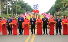 Khai mạc Lễ hội hoa và Festival nông sản, sản phẩm OCOP tại huyện Mê Linh