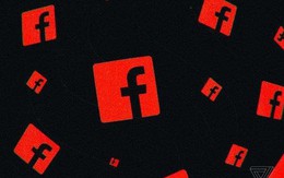 Facebook và Instagram bị tố ưu ái người nổi tiếng, đối xử bất bình đẳng với người dùng khác