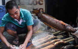 Ảnh, clip: Tiểu thương Sài Gòn tất bật chuẩn bị hàng chục ngàn con cá lóc nướng cho ngày vía Thần Tài