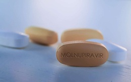 Bộ Y tế cấp phép khẩn cấp 3 loại thuốc Molnupiravir