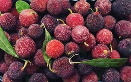 4 loại trái cây nằm trong DANH SÁCH ĐEN, chứa nhiều ký sinh trùng và độc tố mà người Nhật không bao giờ "đụng" đến: 3/4 là quả mà người Việt nào cũng mê